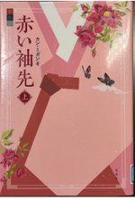 赤い袖先の原作(小説)をネタバレ!